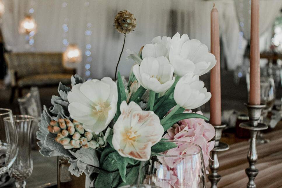 All About Events | Upington