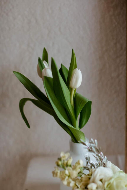 All About Events | Upington